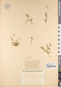 LE 01083910