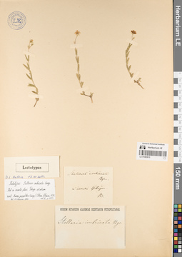 LE 01083915