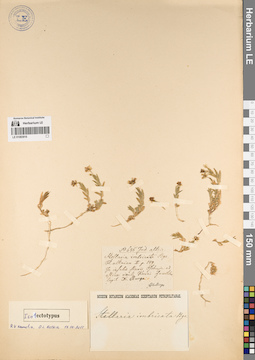 LE 01083916