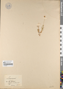 LE 01083931