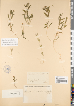 LE 01083940