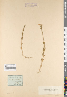 LE 01083946
