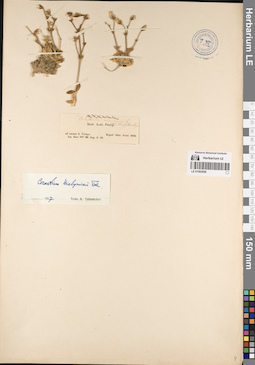 LE 01083958