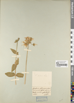 LE 01083963