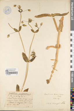 LE 01083964