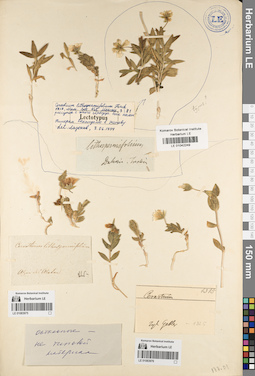 LE 01083976