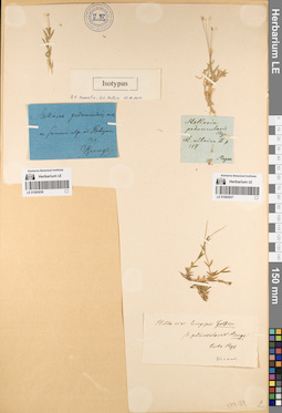 LE 01083937