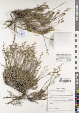 LE 01047771