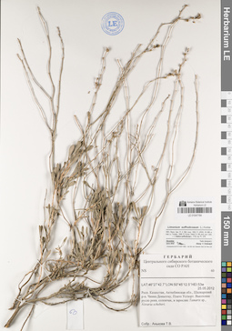 LE 01047784