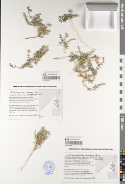LE 01227438