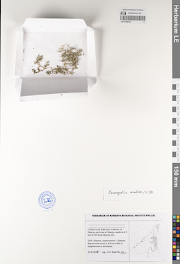 LE 01229142