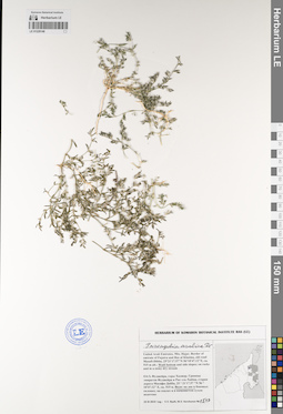 LE 01229148