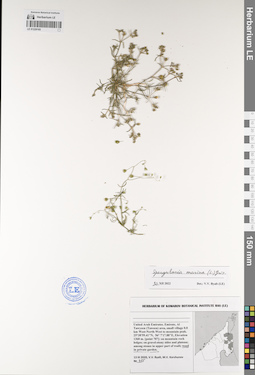 LE 01229165
