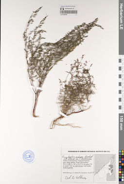 LE 01229168