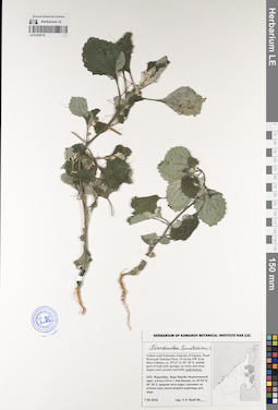 LE 01229178