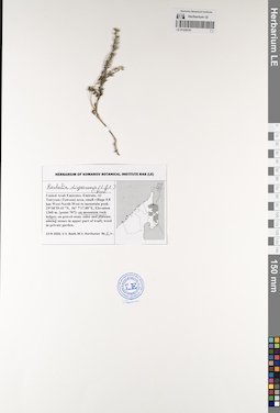 LE 01229181