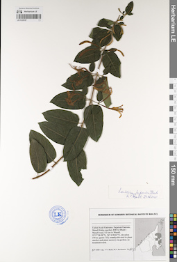 LE 01229187
