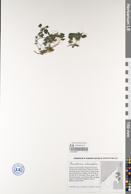 LE 01229189