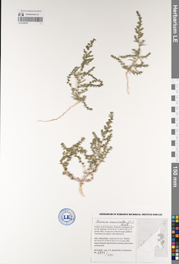 LE 01229197