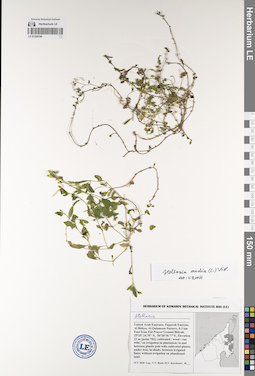 LE 01229199