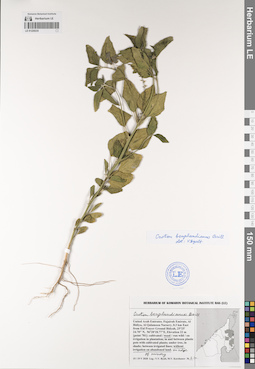 LE 01229235