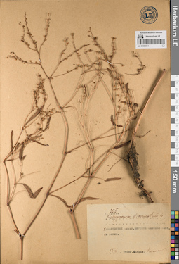 LE 01083814