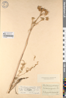 LE 01083822
