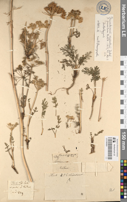 LE 01083824