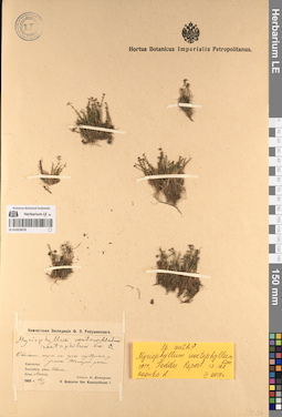 LE 01053878
