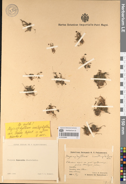 LE 01053880