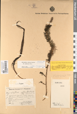 LE 01053881