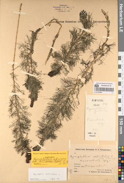 LE 01053883