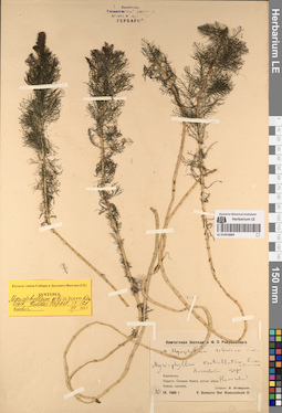 LE 01053884