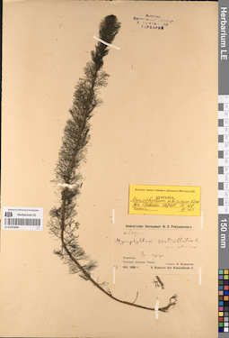 LE 01053886