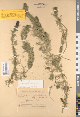 LE 01053890