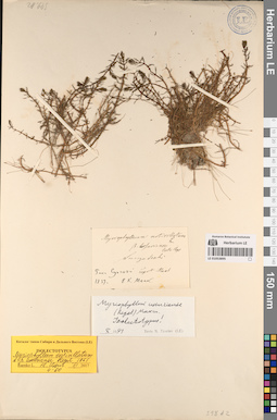 LE 01053895