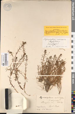 LE 01053896
