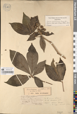 LE 01053897