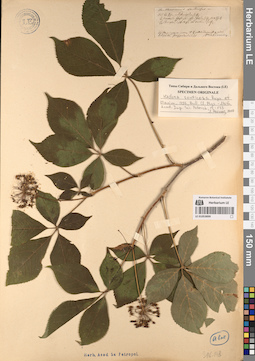 LE 01053899