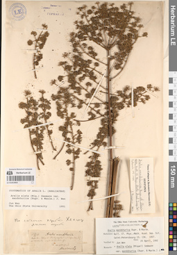 LE 01053903