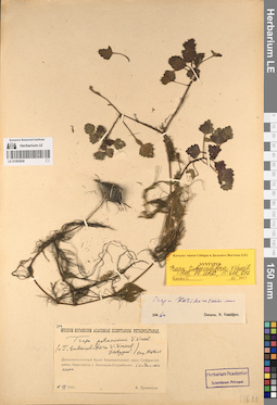 LE 01083828