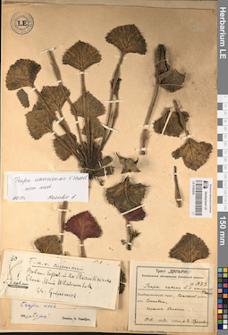 LE 01083830
