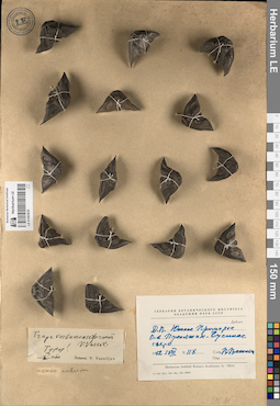 LE 01083835