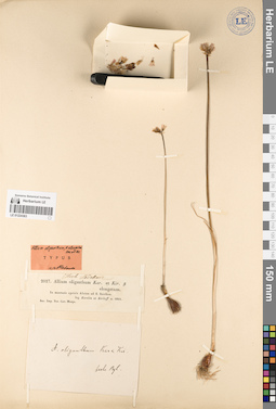LE 01224363