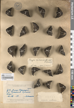 LE 01083836