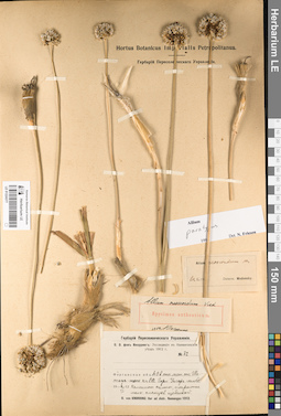LE 01224377