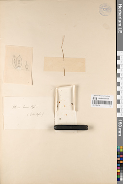 LE 01224720