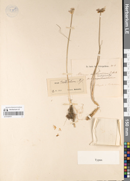 LE 01224721