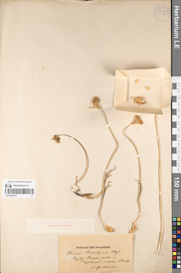 LE 01224731