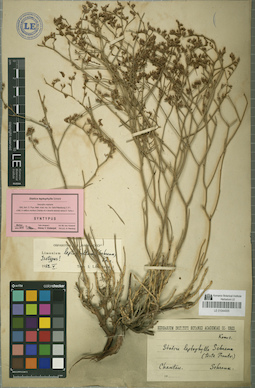 LE 01044005